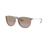 Ray - Ban Femme Ray - Ban RB4171 ERIKA 600068 Lunettes de soleil Injecté Marron Marron Pantos Normale