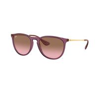 Ray - Ban Femme Ray - Ban RB4171 ERIKA 659114 Lunettes de soleil Nylon Violet Rose Pantos Normale Ombré