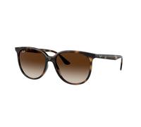 Ray - Ban Femme Ray - Ban RB4378 710/13 Lunettes de soleil Injecté Tortue Marron Carré Normale Ombré