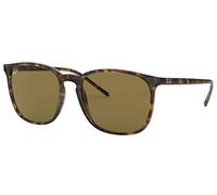 Ray - Ban Unisex Ray - Ban RB4387 710/73 Lunettes de soleil Injecté Tortue Carré Normale