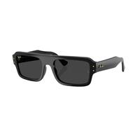 Ray - Ban Unisex Ray - Ban RB4454 FLACKO 667748 Lunettes de soleil Acétate Noir Gris Carré Polarisé