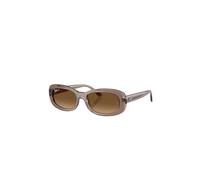 RAY BAN Lunettes de soleil 0RB2221/53 marron clair