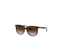 RAY BAN Lunettes de soleil 0RB4378/54 marron