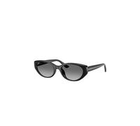 RAY BAN Lunettes de soleil 0RB4457D/55 noir