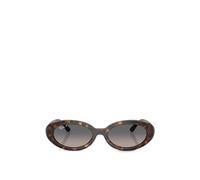 Ray - Ban Femme Ray - Ban RB2223 902/M3 Lunettes de soleil Acétate Tortue Gris Ronde Polarisé