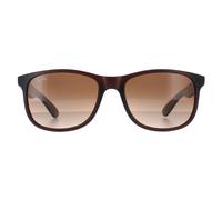 Ray - Ban Homme RB4202 ANDY 607313 Lunettes de soleil Injecté Marron Marron Carré Normale Ombré