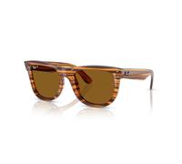 Ray - Ban Unisex Ray - Ban RBR0502S WAYFARER REVERSE 679183 Lunettes de soleil Acétate Marron Marron Carré Polarisé