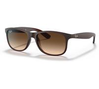 Ray-Ban Lunettes de soleil RB4202 Andy 607313 Injecté Marron Carré Ombré Homme