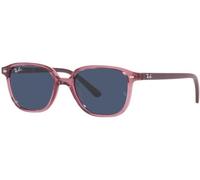 Ray Ban Lunettes de soleil Ray-Ban Leonard Jr RJ 9093S (711280)