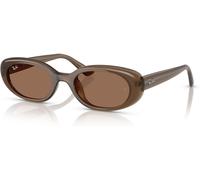 Ray-Ban – Lunettes de soleil RB4441D 677973 – Mixte Injecté Marron/Gris – Pillow Normale