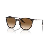 Ray-Ban Lunettes de soleil RB2204 Unisexe Acétate Pantos Tortue Marron 902/51 Ombré