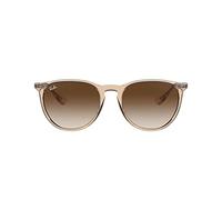 Ray-Ban Lunettes de soleil RB4171 Erika 651413 Femme – Monture injectée Marron Pantos Verres ombré