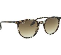 Ray - Ban Unisex Ray - Ban RB2204 143151 Lunettes de soleil Acétate Jaune Marron Pantos Normale Ombré