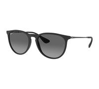 Ray-Ban ERIKA COLOR MIX lunettes de soleil Aviateur