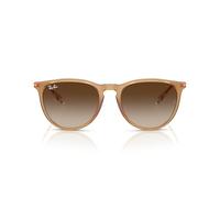 Ray - Ban Femme Ray - Ban RB4171 ERIKA 681413 Lunettes de soleil Nylon Marron Marron Pantos Normale Ombré