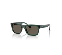 Ray-Ban - Sole Lunettes de soleil - unisex - Accessoires - Vert - Taille: 49 MM