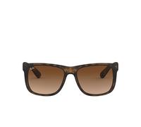 Ray-Ban, unisex, Accessoires, Brun, Taille: 51 MM Lunettes de Soleil Classiques Marron
