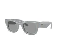 Ray - Ban Unisex Ray - Ban A$AP Rocky RB4940 WAYFARER PUFFER 6876/1 Lunettes de soleil Nylon Gris Gris Carré Normale