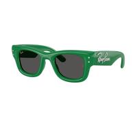 Ray - Ban Unisex Ray - Ban A$AP Rocky RB4940B WAYFARER PUFFER 685987 Lunettes de soleil Nylon Vert Carré Normale