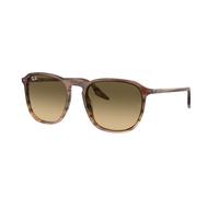 Ray - Ban Unisex Ray - Ban RB2203 13920A Lunettes de soleil Acétate Marron Marron Carré Normale Ombré