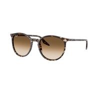 Ray - Ban Unisex Ray - Ban RB2204 143151 Lunettes de soleil Acétate Jaune Marron Pantos Normale Ombré