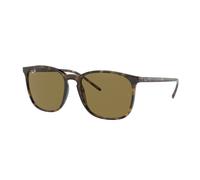 Ray - Ban Unisex Ray - Ban RB4387 710/73 Lunettes de soleil Injecté Tortue Carré Normale