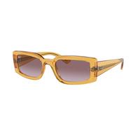 Ray - Ban Unisex Ray - Ban RB4395 KILIANE 66828H Lunettes de soleil Acétate Jaune Violet Pillow Normale Ombré