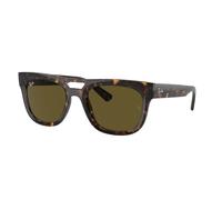Ray - Ban Unisex Ray - Ban RB4426 PHIL 135973 Lunettes de soleil Injecté Tortue Marron Carré Normale