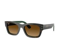 Ray - Ban Unisex Ray - Ban RB7683S JOSEPH 140285 Lunettes de soleil Acétate Vert Marron Carré Normale Ombré