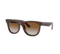 Ray - Ban Unisex Ray - Ban RBR0502S WAYFARER REVERSE 6709CB Lunettes de soleil Injecté Marron Marron Carré Normale Ombré