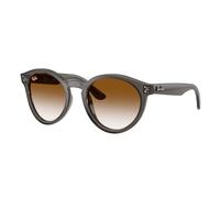 Ray - Ban Unisex Ray - Ban RBR0505S 6707CB Lunettes de soleil Acétate Gris Marron Pantos Normale Ombré