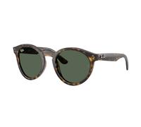 Ray - Ban Unisex Ray - Ban RBR0505S 6790VR Lunettes de soleil Acétate Tortue Vert Pantos Normale