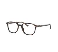 Ray-Ban Leonard Optics Monture Havana Verres Transparents Polarisé 49-17