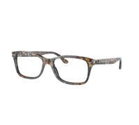 Ray - Ban Unisex Ray - Ban RX5428 8173 Montures optiques Acétate Gris Transparent Carré Normale