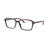 Ray - Ban Unisex Ray - Ban RX5431 RAIMOND 2012 Montures optiques Acétate Tortue Transparent Carré Normale