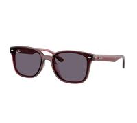 Ray - Ban Unisex Ray - Ban RB4461D 659373 Lunettes de soleil Nylon Marron Violet Carré Normale