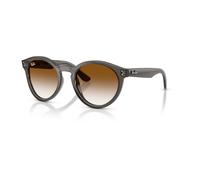 Ray-Ban - Wayfarer Deluxe - unisex - Accessoires - Brun - Taille: 53 MM
