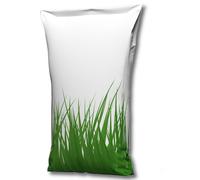 Ray-grass allemand Lolium perenne SORAYA (t) 20 kg de semences de graminées, gr