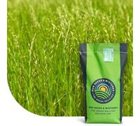 Ray-grass anglais (Lolium perenne) - 2 kg pour 200 m² - Vivace - Germination très rapide - Persistance élevée - Idéal pour le sursemis des pelouses