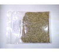 Ray-Grass d’Italie NT - Lolium Multiflorum (Engrais Vert) - SEM27 (Variété Meroa : 100 grammes)