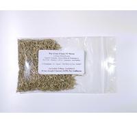 Ray-Grass d’Italie NT - Lolium Multiflorum (Engrais Vert) - SEM27 (Variété Meroa : 15 grammes)