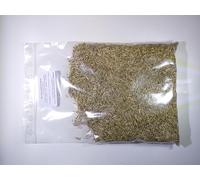 Ray-Grass d’Italie NT - Lolium Multiflorum (Engrais Vert) - SEM27 (Variété Meroa : 250 grammes)