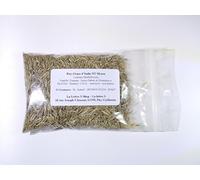 Ray-Grass d’Italie NT - Lolium Multiflorum (Engrais Vert) - SEM27 (Variété Meroa : 40 grammes)