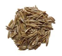 Ray-Grass Italien Bio - Lolium Multiflorum (Engrais Vert) - SEM06 (500 grammes)