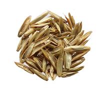 Ray Grass Italien - Lolium Multiflorum (Engrais Vert) SEM05 (100 grammes)