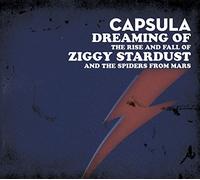 Ray - Marta Ruiz - Fernando Pardo - John Agnello - Dreaming of the Rise and Fall of Ziggy Stardust and the Spiders from Mars