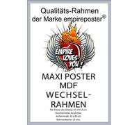 Raya et le Dernier Dragon - Poster - Raya + cadre amovible, Shinsuke® Maxi MDF argenté, vitre acrylique