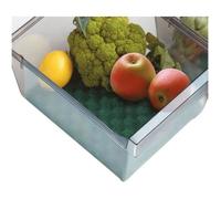 RAYEN - Base conservante pour bac frigo 47x30 cm