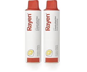Rayen - Nettoyeur de Plaque - Élimine la saleté - Parfum de Citron - Facile à Utiliser - Transparent - Dimensions : 13,5x3x21 cm (Lot de 2)