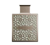 RAYHAAN Terra 100ML Eau de Parfum Parfums pour Homme